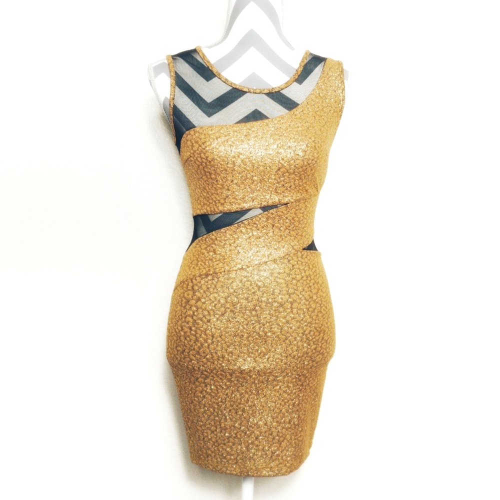 Gold & black mesh detail mini dress